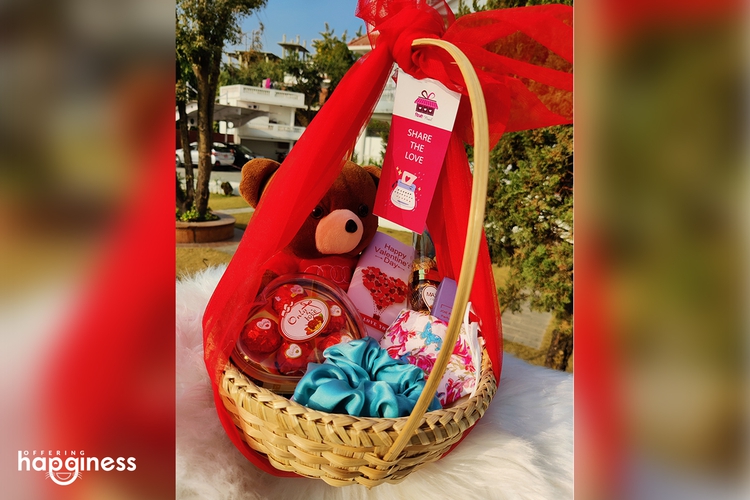 teddy hanging basket