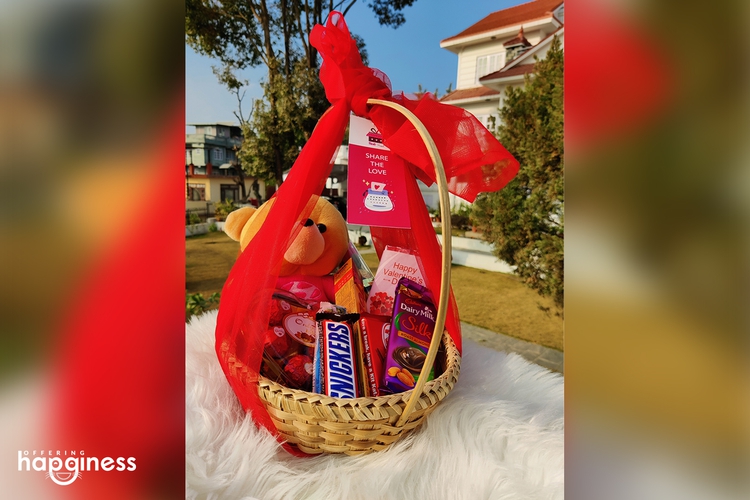 teddy hanging basket