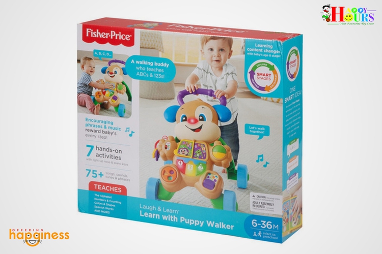 Fisher Price Fhy94