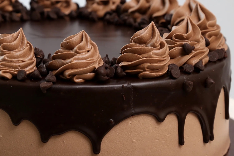 Chocolate Cream Cake