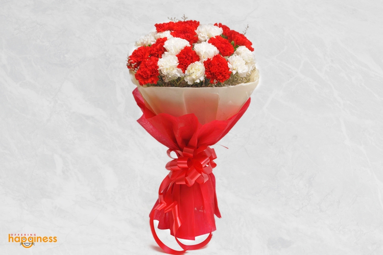 Bunch Of Red And White Carnation